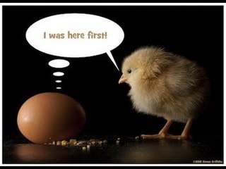 What came first the chicken or the Egg?