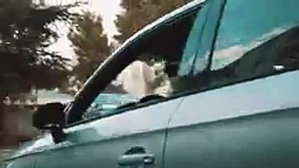 YL - Trafficanté [Clip Officiel Album B.O CHOUF]