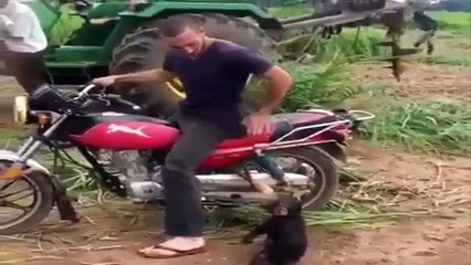 Komik Videolar Serisi 1.Video