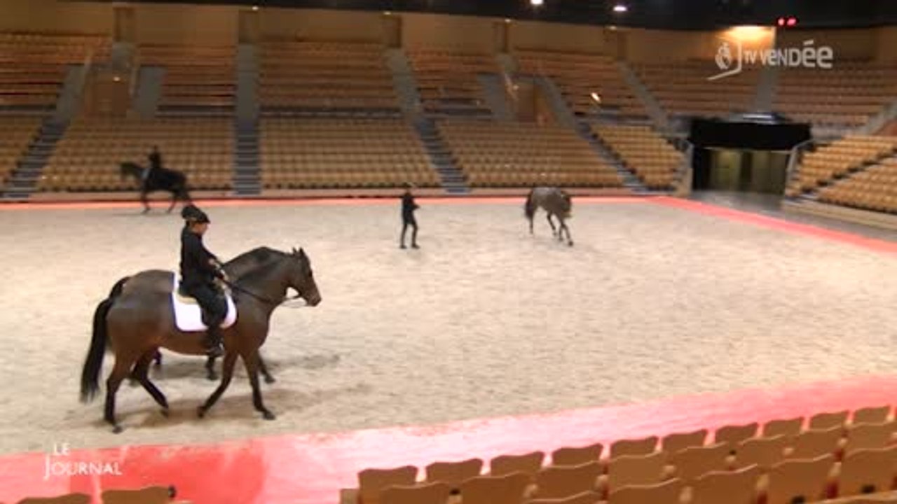 Équitation : Le Cadre noir de Saumur (Vendée)