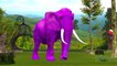 Dinosaurs Gorilla Lion Tiger Elephant Becomes Halloween Colors Animals Finger Family Nursery Rhymes