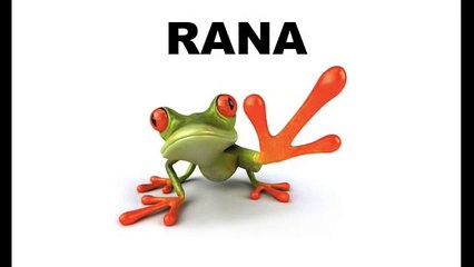 Sonidos de los animales en español. Animal sounds with names in Spanish.