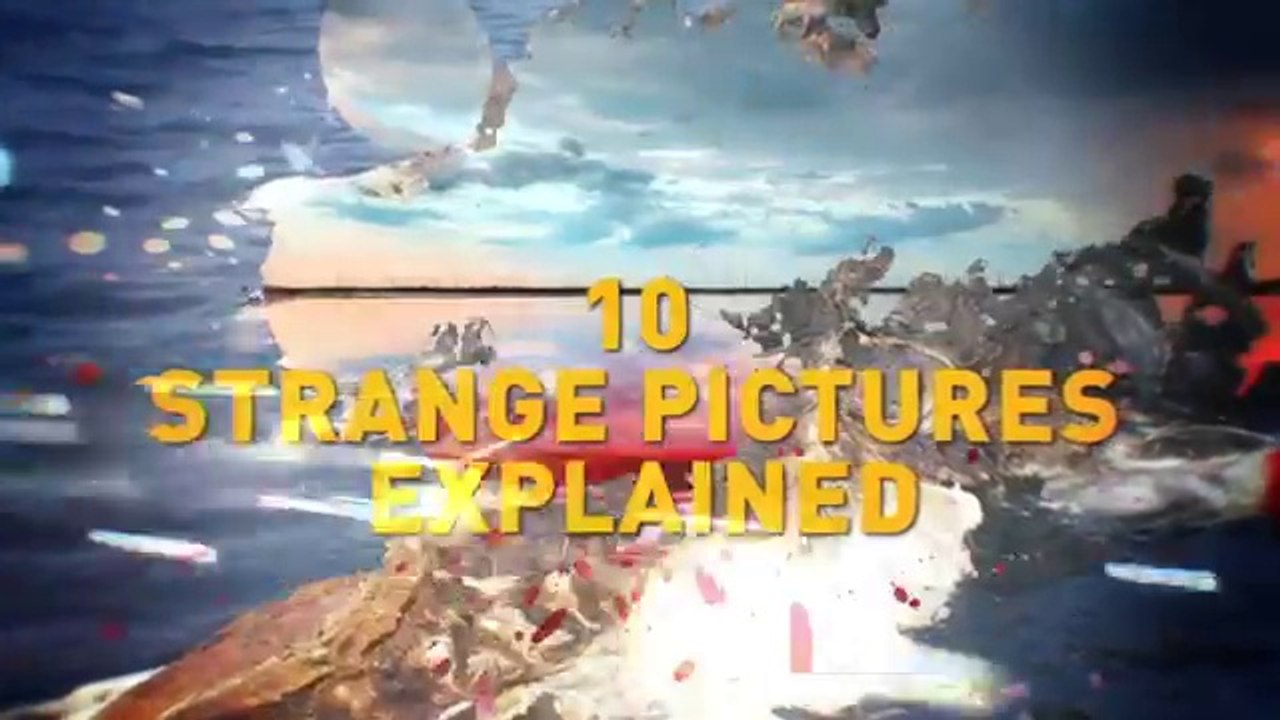 10-Strange-Creature-Photos-Explained