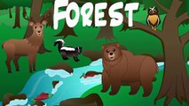 Forest Animals Video for Children – Forest Animal Spelling Songs for Kids –Preschoolers Kindergarten