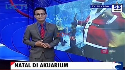 Perayaan Natal di Dalam Akuarium
