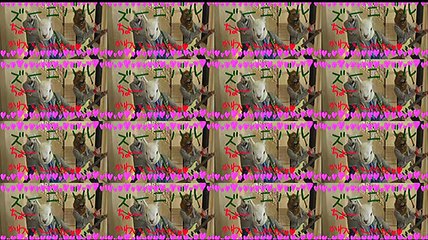 GOGO Ikemen 5 Part 1 Türkçe Altyazılı