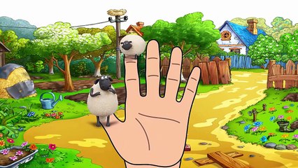 Shaun The Sheep | Shaun The Sheep Finger Family | For Kids