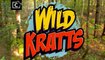 Wild Kratts - Quillers Birthday Present