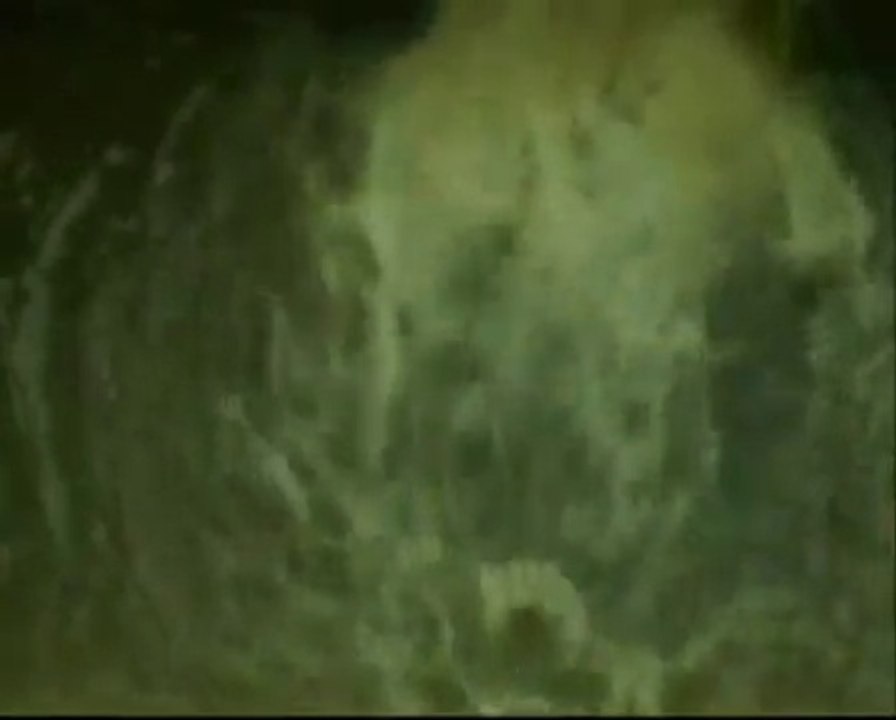 SALVE O REI UNGIDO NOSSO SENHOR JESUS CRISTO, FILHO DE JEOVÁ!!