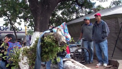 Unos celebran mientras otros lloran ante las adversidades de la vida