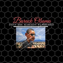 FLYERSHOT.com - OBAMA DAYS ARE NUMBERED - Shadow Government The Most Shocking Prophecy About America's Next 8 Years