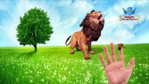 The Lion King Venator Daddy Finger Song | Pet Dog Puppies n Finger Family Nursery Rhyme For Children