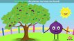 Fig Fruit Rhyme for Children, Fig Cartoon Fruits Song for Kids