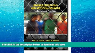 FREE DOWNLOAD  Juvenile Delinquency and Antisocial Behavior: A Developmental Perspective (3rd
