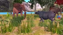 Elephant Vs Rhino Cartoons And Dinosaurs Vs Godzilla Finger Family Nursery Rhymes Animals Cartoons