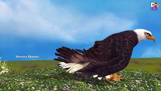 Animated Short Movie || Snake Tries To Eat Eagles Eggs || Kids Funny Rhymes