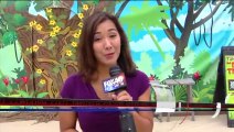 Baboon Grabs Reporter's Boob During Live Shot