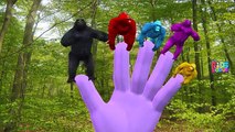 Colors Gorilla vs Elephant Finger Family & Wild & Domestic Animals Finger Family Nursery Rhymes