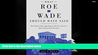 Online  What Roe v. Wade Should Have Said: The Nation s Top Legal Experts Rewrite America s Most
