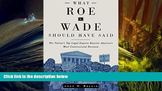 Online  What Roe v. Wade Should Have Said: The Nation s Top Legal Experts Rewrite America s Most