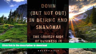FAVORIT BOOK Down (But Not Out) in Beijing and Shanghai: The Comedy Side of Business in China