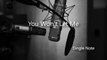 Rachael Yamagata - You Won't Let Me (Single Note Cover)