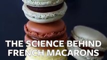 Science Behind French MacaronsThe Science Behind French Macarons: