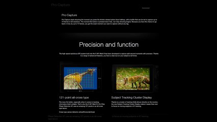 Olympus OM-D E-M1 Mark II.High-speed performance.Magnesium alloy body.20.4 Megapixels.Electronical Viewfinder.
