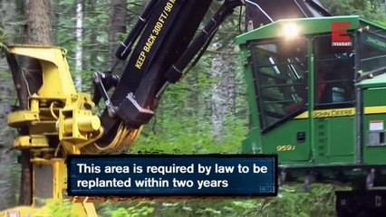 Демонтаж 2 сезон 2 серия из 13 - "Пиломатериалы" / Deconstruction (2009)