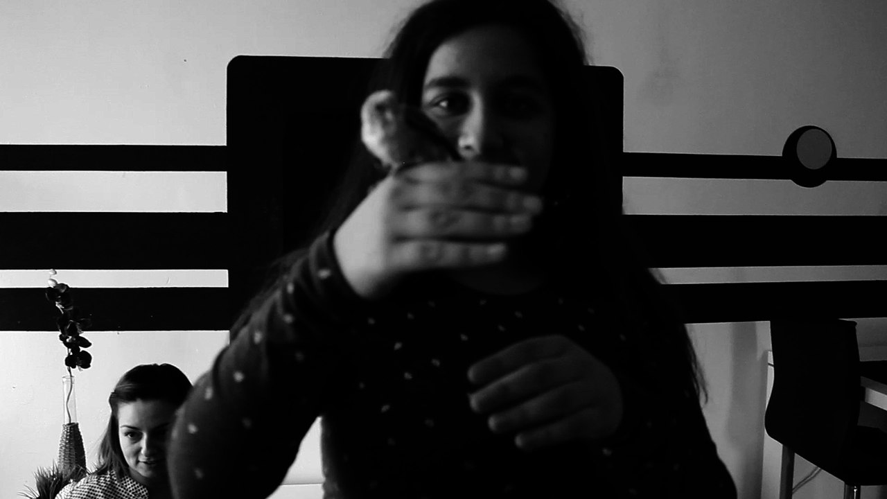 My new friend -baby budgie