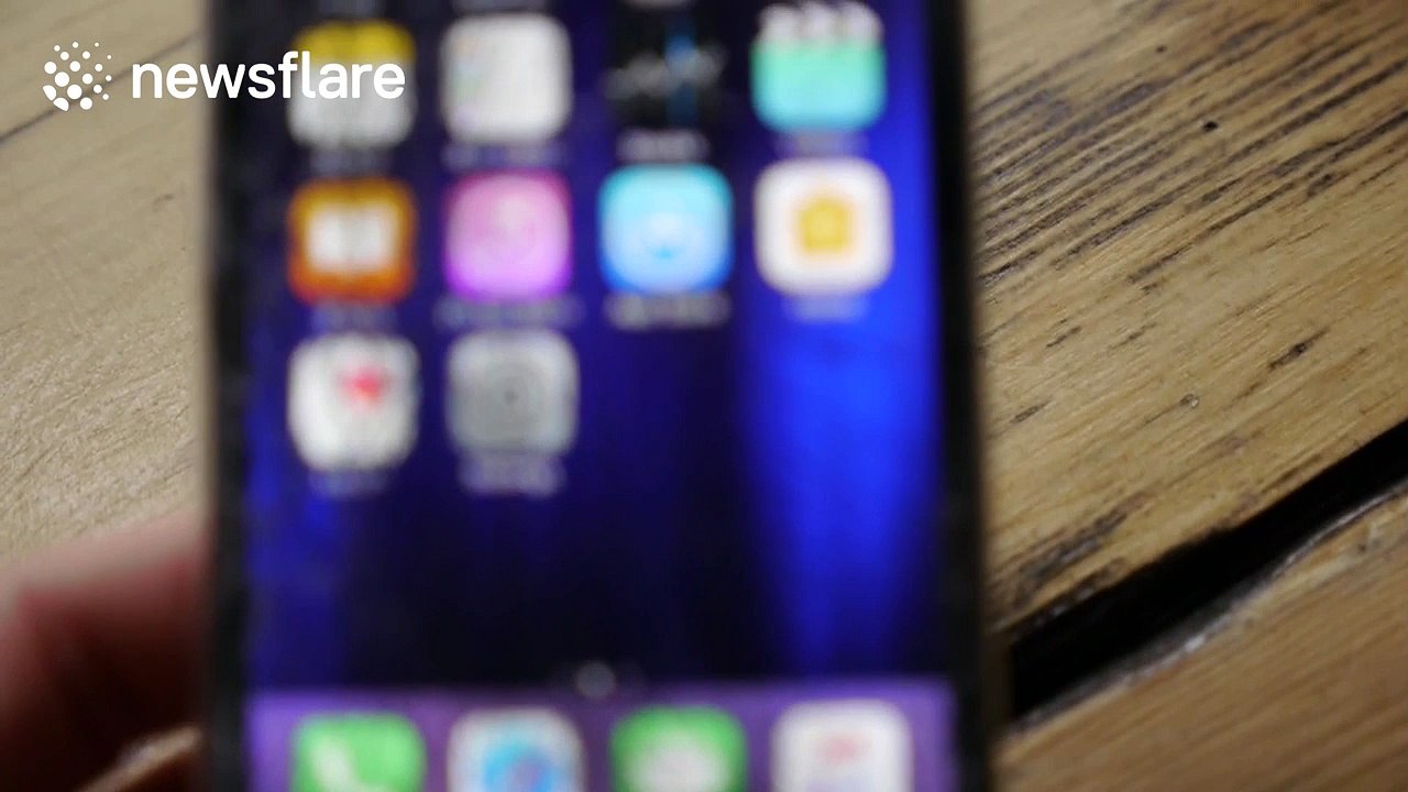 What happens if an alligator bites an iPhone 7?