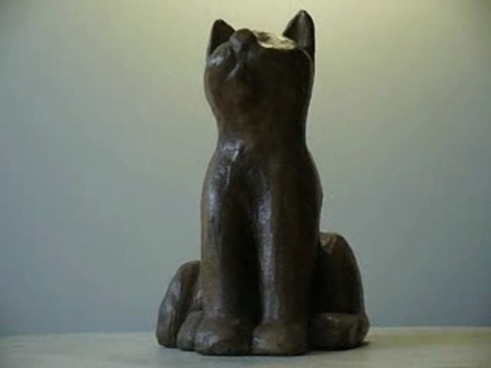 Chat assis