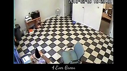 animals dogs dangerous _3