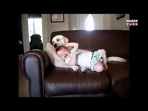 işte bir köpek ile bebeğin muhteşem dostluğu
