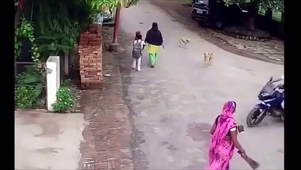 Be Aware of Chain Snatcher