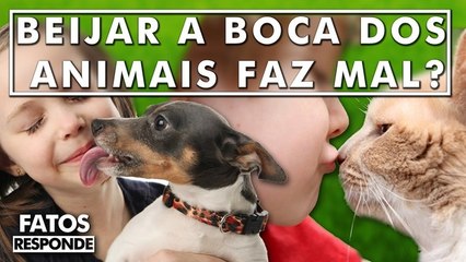 O Que pode acontecer ao beijarmos nossos Cães e Gatos na boca