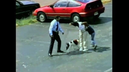 Crazy Video - Pitbull Attacks Helpless Young Kid and Gets Shot by Cop!