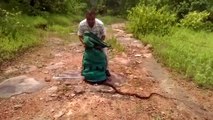 Snake catcher releases hundreds of rat snakes, cobras and vipers into Indian fo