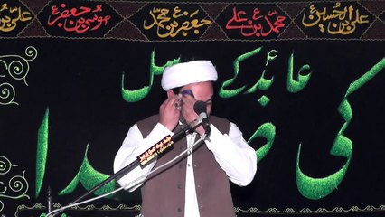Allama Hassan Jawad Mohsni Qoom Iran 19 Muharram 1438 ( 2016 ) Choti Behak Hafizabad