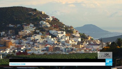 Aux Canaries, la banane européenne ne veut pas compter pour des prunes