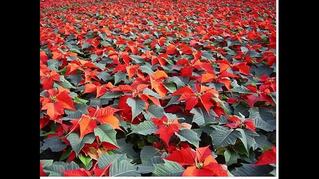 Toi ! Oui Toi ! Lis le commentaire STP mon ami