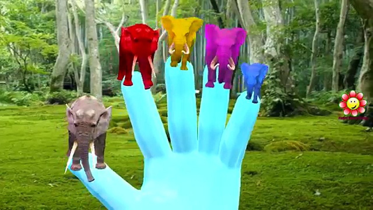 Animals Colors Elephant Shark Finger Family Nursery Rhymes | Animals Cartoons Gorilla Finger Family