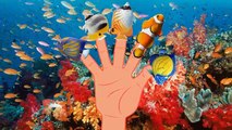 Finger Family Fish Nemo Nursery Rhyme | Animal Finger Family | Fish Finger Family for children