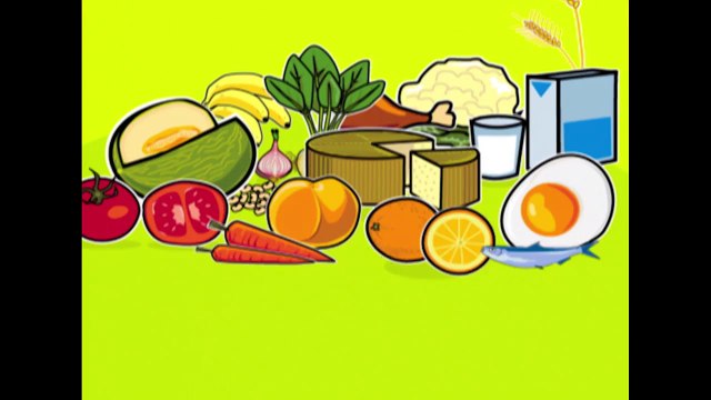 Why Are Koalas So Sleepy? | Kids Learning Videos | Healthy Food | Vitaminix E | Baby Toonz TV