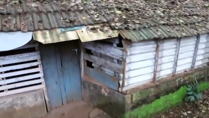 SI TE ASUSTAS PIERDES (NIVEL EXTREMO) - YouTube