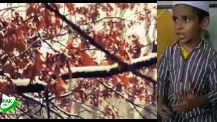 Speech by a small boy copy of Maulana Tariq Jameel