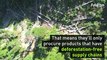 Norway has become the first country to adopt a zero deforestation policy, Scientists have detected gravitational waves a