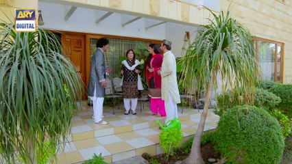 Watch Dilli Walay Dularay Babu Episode 18 - on Ary Digital in High Quality 24th December 2016