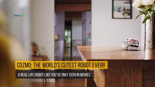 New Technology 2017-World Cutest Robot!