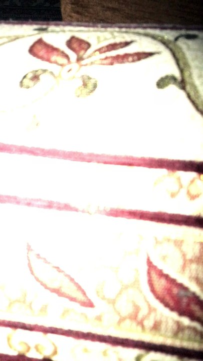 salim